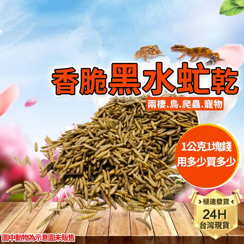 PJ小舖｜黑水虻乾 兩棲爬蟲 高蛋白飼料 澤龜 守宮 蜥蜴 麵包蟲澤水烏陸龜蜜袋鼯刺蝟倉鼠鬆獅鳥鸚鵡水族龍魚柯爾鴨