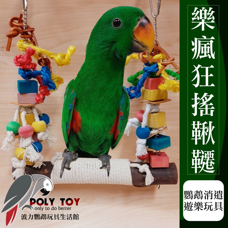 樂瘋狂搖鞦韆  原木啃咬玩具 鸚鵡玩具 益智玩具 鸚鵡啃咬玩具 波力鸚鵡玩具生活