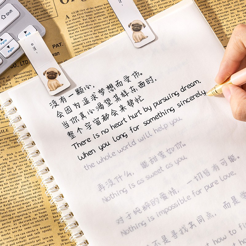 奶酪體字帖網易云熱評名人名言中英文英語字帖女生字體漂亮大學生練字帖神仙字體楷書手寫牛奶陷阱鯨落體花開 半夏