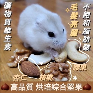 祁勛【現貨】寵物無調味堅果🌰核桃 腰果 杏仁果 花生 綜合堅果 倉鼠零食 鸚鵡 小動物 磨牙零食 黃金鼠零食 寵物零食