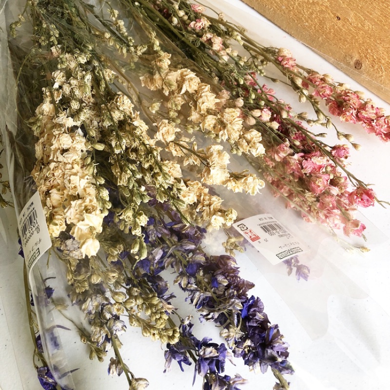 日本大地農園乾燥飛燕千鳥草不凋花乾燥花永生花diy手作 蝦皮購物
