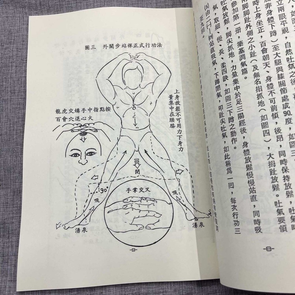 ハイゲンキ 真気功 気功 民間療法 サイ神