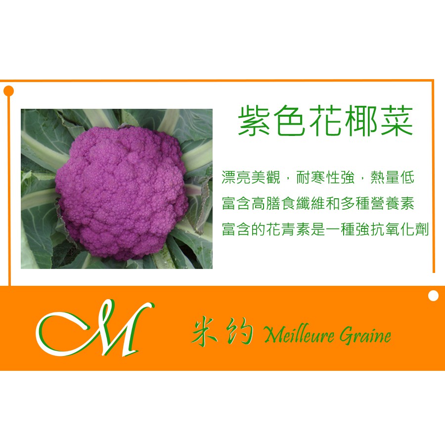 紫色花椰菜 優惠推薦 21年12月 蝦皮購物台灣