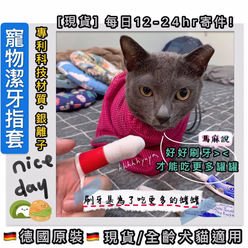 🇩🇪寵物潔牙指套🇩🇪德國原裝 專利科技材質·銀離子 刷牙指套 牙刷套 潔牙布 牙刷 維美刷牙指套 【小雞姐姐】