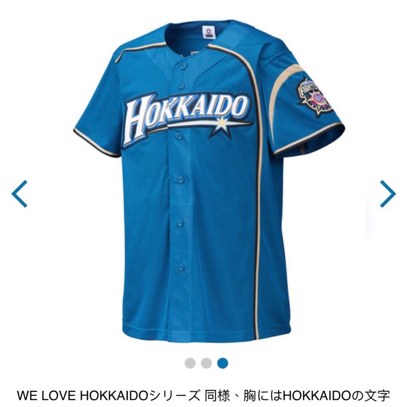 北海道日本火腿 天空藍球衣 Size:L （免運）