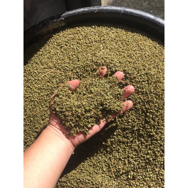 天然日曬有機無毒綠豆殼枕頭1顆5斤內含拉鍊內裡 不含枕頭套 訂單一次一個枕頭如需多個請多次單次訂購 蝦皮購物