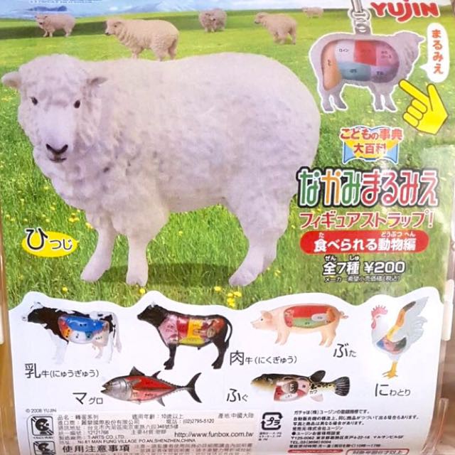 B252 現貨yujin事典大百科動物解剖扭蛋一套七種 蝦皮購物
