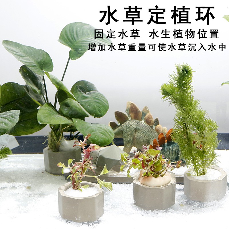 Ptao02 爆款 魚缸造景水生植物固定水草防漂浮水泥定植環新手養草透氣底座 蝦皮購物