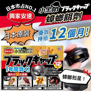 日本 興家安速 蟑螂藥 蟑螂屋 小黑帽 蟑螂餌劑 強效型 一點絕 殺蟑剋蟑 174T 滅蟑餌 蟑螂 黏金多 小黑蚊
