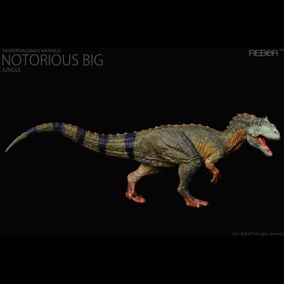 REBOR Saurophaganax Maximus 臭名昭著的大恐龍收藏家玩具異特種模型綠色版