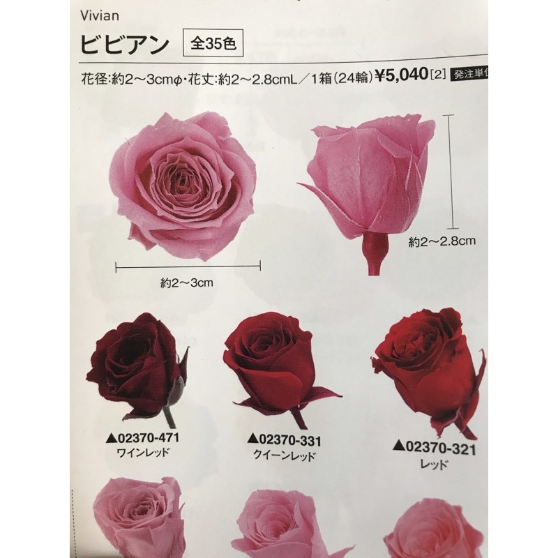 大地農園 型號系列 永生玫瑰 不凋花 1朵59元 24朵1152元 請務必參考商品詳情 蝦皮購物