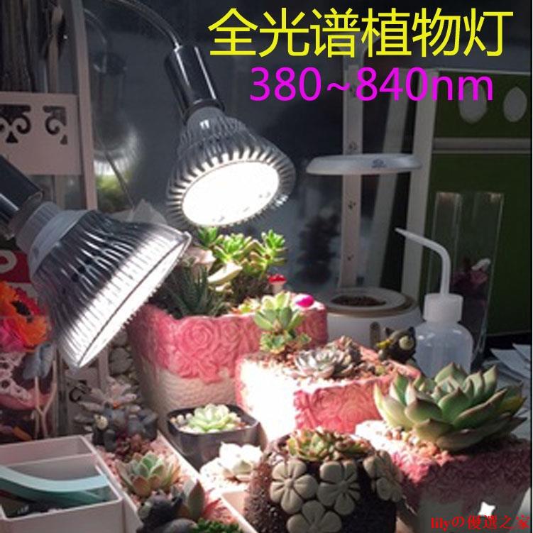 【現貨】全光譜植物 補光燈 多肉發財樹花卉水草蔬菜蘭花育苗生長專用太陽燈 lilyの優選之家