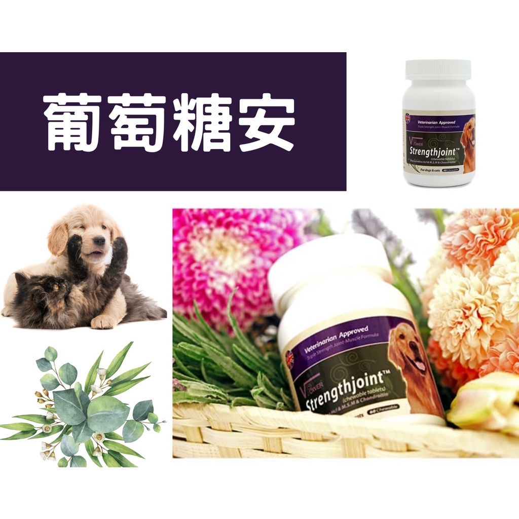 🐷圓圓晴🐷犬貓通用_【VET POWER】V霸寵物保健品，葡萄糖胺軟骨素嚼錠(60顆)