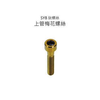【SYB鈦螺絲】自行車上管梅花螺絲 M6x30mm
