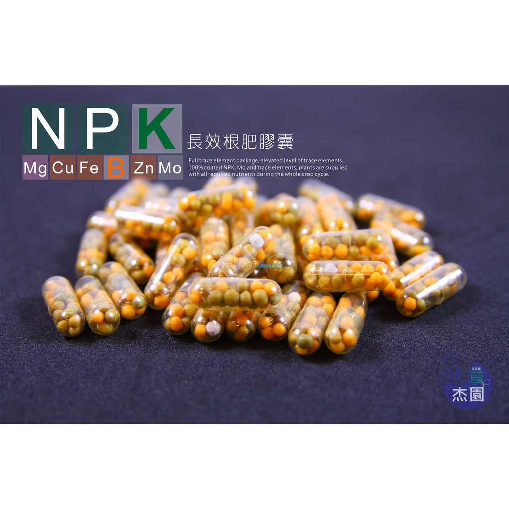 魚草杰園好物販賣店 水草全長效根肥膠囊 根肥棒 微量元素 追肥 基肥 水草肥料 根肥膠囊 水草鐵肥 蝦皮購物
