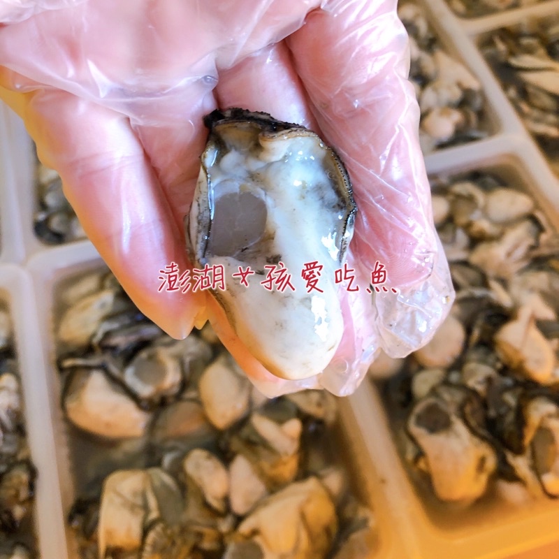 澎湖城前鮮蚵新鮮美味無腥味無泡水300公克 蝦皮購物