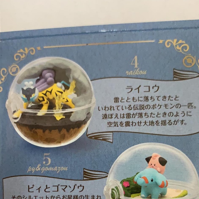 日本Re-ment正版神奇寶貝 寶可夢  4號雷公生態球 水晶球 第7彈