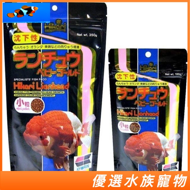 獅頭金魚的價格推薦第6 頁 21年11月 比價比個夠biggo