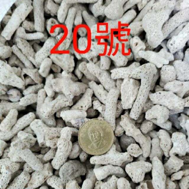 🎊 珊瑚骨 🎊 20公斤 珊瑚砂 20公斤 珊瑚骨 珊瑚石 貝殼砂 珊瑚沙 石英砂 20公斤 石頭  底沙 底砂 細砂