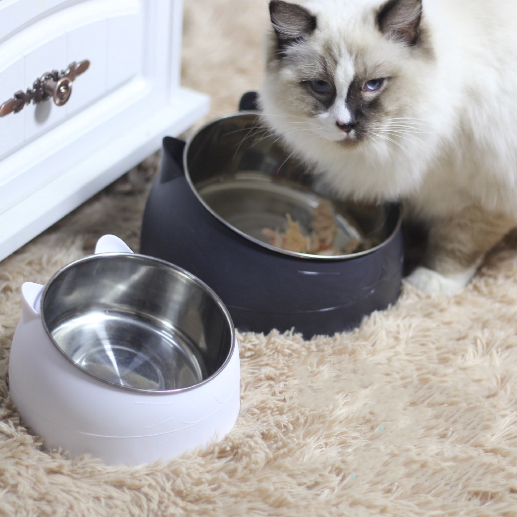 免運 寵物碗 餵食容器  貓碗 狗碗 貓食盆 貓盆 狗盆 水碗 不鏽鋼碗 寵物食盆 貓碗架