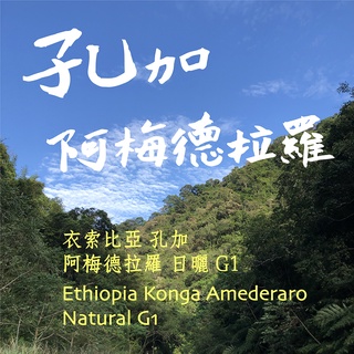 [毫宅咖啡] 衣索比亞 孔加合作社 阿梅德拉羅 日曬 G1 咖啡豆 250g