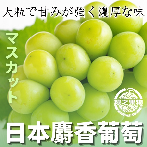 麝香葡萄 長野麝香葡萄 山梨縣麝香葡萄 晴王 日本葡萄 葡萄禮盒 荔枝葡萄 香印葡萄 無籽 黑貓冷藏宅配