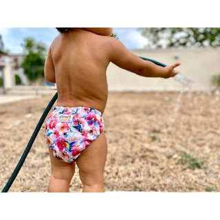 Smart Bottoms 布尿布 dream diaper 2.0