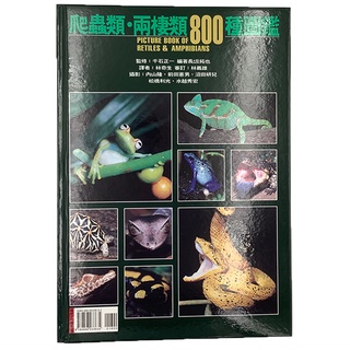 Image of ✨現貨✨[龍爵士水族]爬蟲類.兩棲類800種圖鑑 書籍
