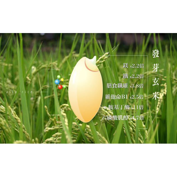 綠工坊 有機發芽玄米發芽糙米活米發芽米免洗免浸泡台灣米的驕傲產地台東亞洲瑞思 蝦皮購物