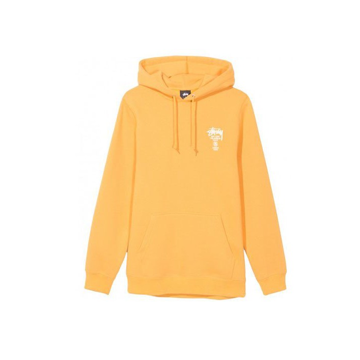 stussy college arc hoodie