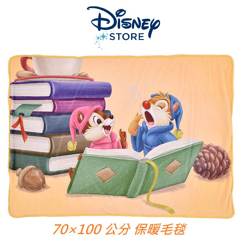 【雲購】現貨 Disney 日本迪士尼商店 奇奇蒂蒂 毛毯 蓋毯 毯子 空調毯 車用毯 午睡毯 懶人毯 70×100