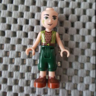 Lego 樂高雄Farran Elves Friends 41185