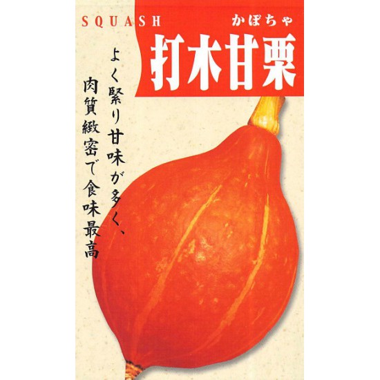 【蔬菜種子S348】打木赤皮甘栗南瓜~ 濃郁的甜味、肉質緻密、是栗子型，約1.7kg重，外觀漂亮。