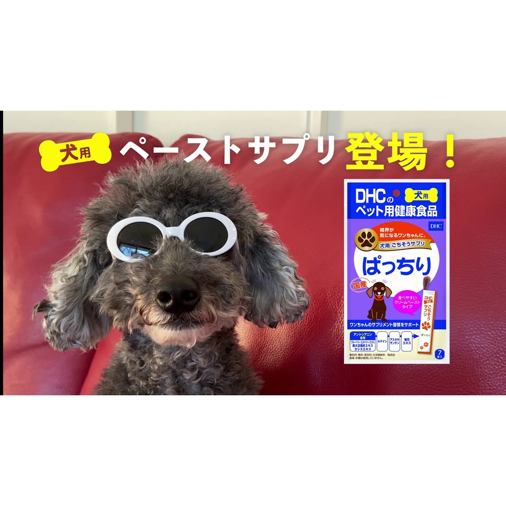Dhc 愛犬用 負けないドッグ60粒