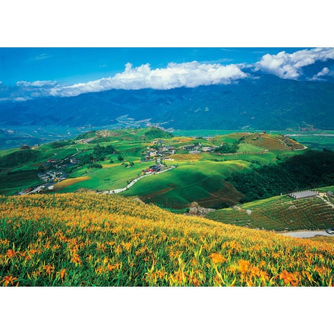 【拼圖貓】P2 - 台灣之美-花蓮六十石山金針花海 台灣製 1000片拼圖 01-020