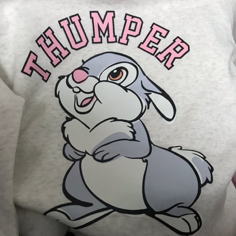 英國 Disney 迪士尼 米白 小鹿斑比 邦妮兔 邦尼 Thumper 桑普 兔子 刷毛 大學T 長袖 上衣 帽T