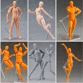 現貨 繪畫素體 figma 青年版 2.0素體 肌膚銀灰男女 關節可動 人偶手辦
