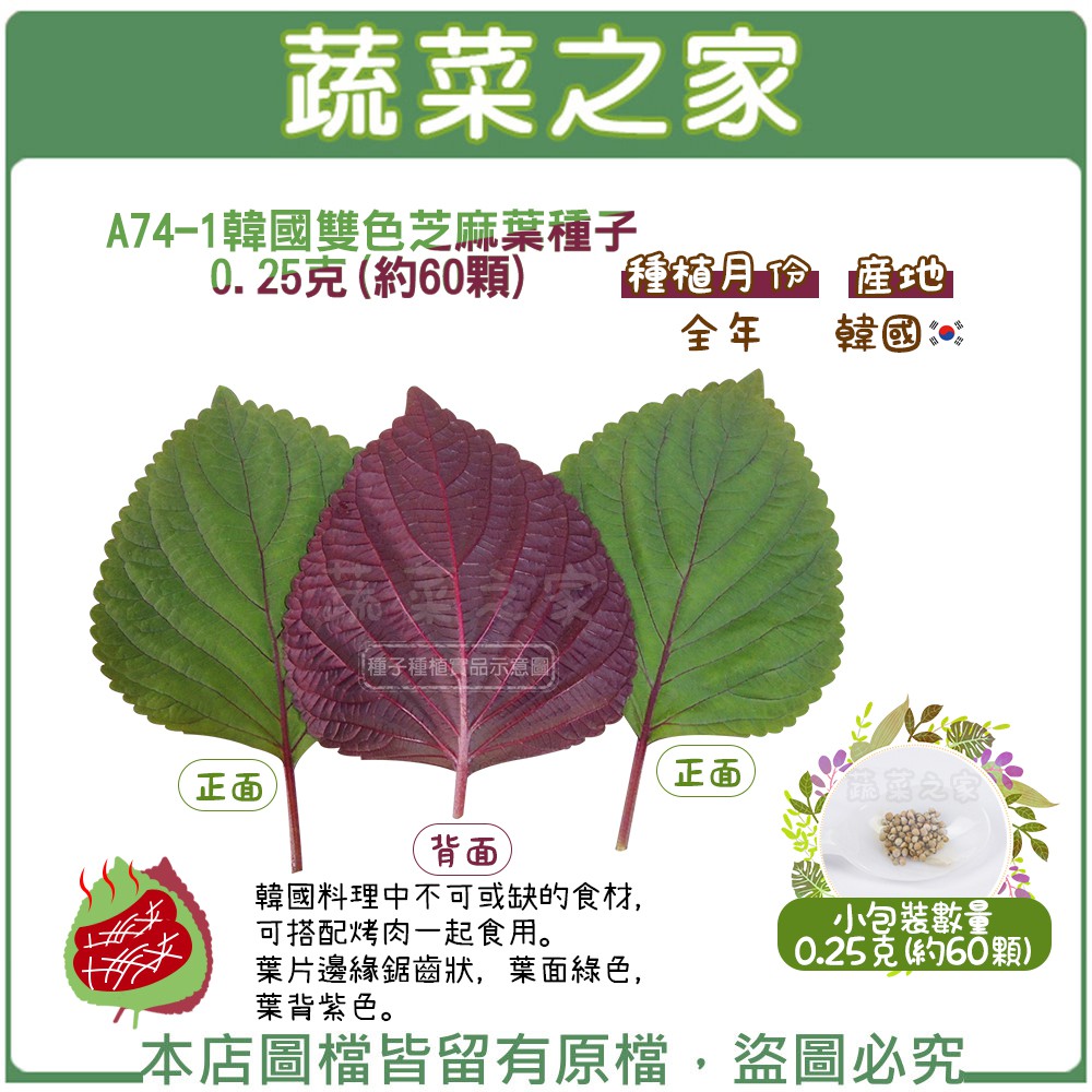 【蔬菜之家滿額免運】A74-1.韓國雙色芝麻葉種子0.25克(約60顆)(韓國料理中不可或缺的食材，可搭配烤肉一起食用)