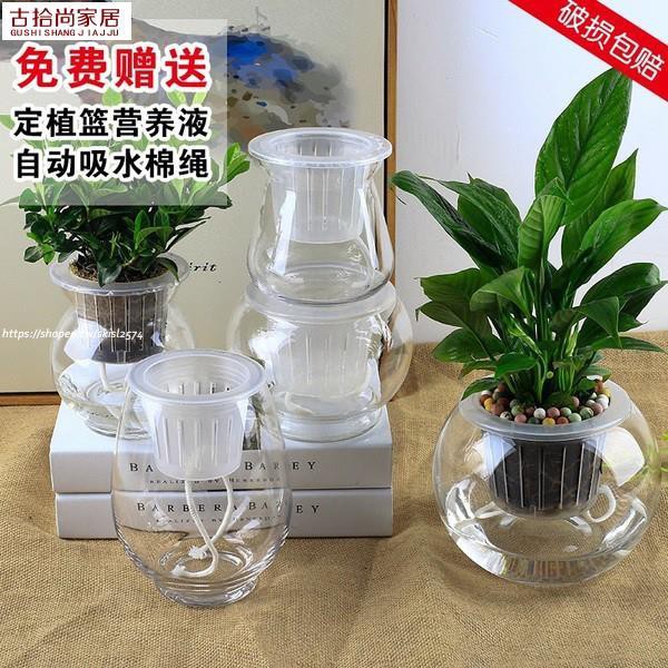 居家透明花瓶 時尚居家裝飾花瓶插花水杯植物花瓶水培容器玻璃透明水培花瓶玻璃花瓶水培植物花瓶水養綠蘿花盆 蝦皮購物