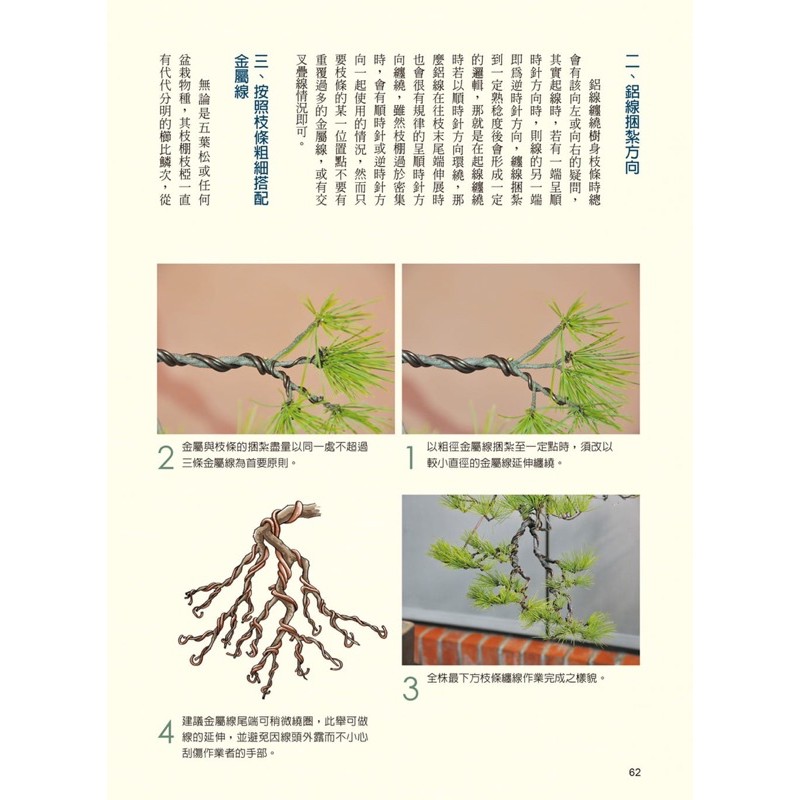 彩虹小舖 圖解五葉松盆栽技法劉立華晨星出版社21 3 12出版作者親簽寄出 蝦皮購物