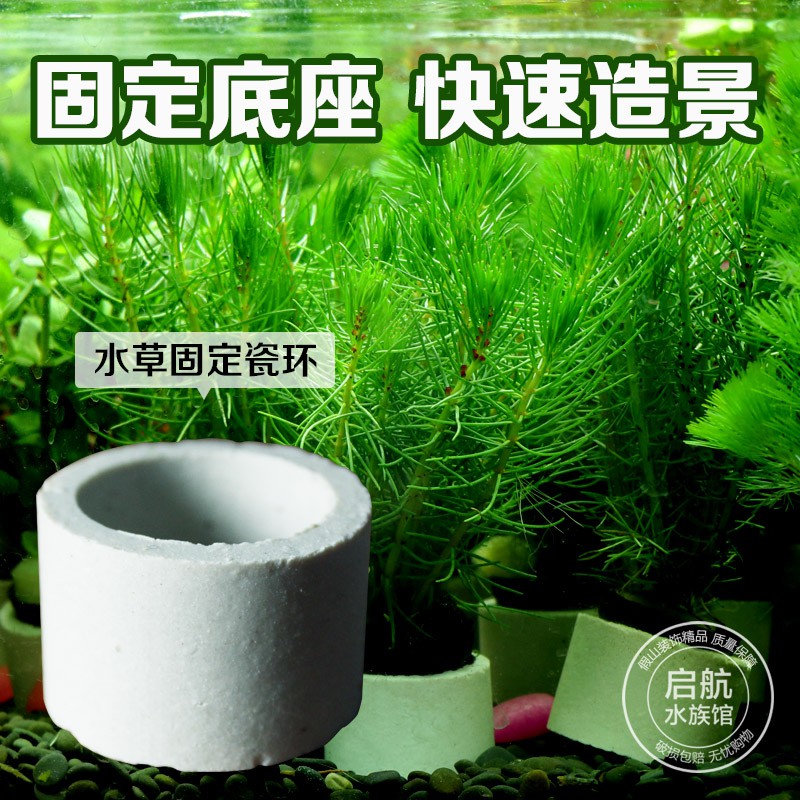 水草固定環水草植物沉重沉底陶瓷杯重力環水草快速造景裝飾一個t40 蝦皮購物