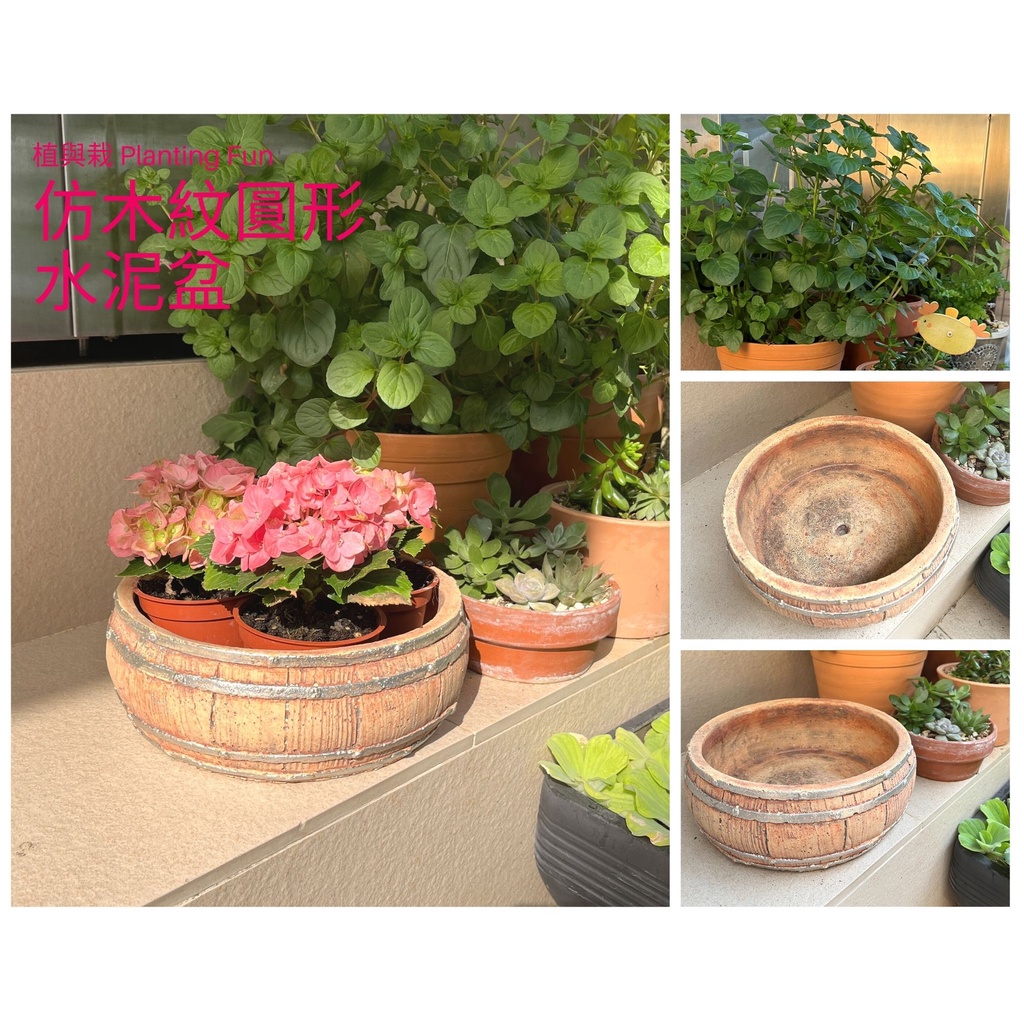 植與栽 Planting Fun 仿木紋圓形水泥盆 鄉村田園花盆花器盆器 (現貨)