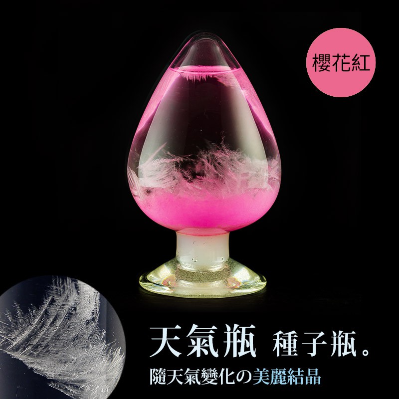 【Strom Glass 天氣瓶】下雪結晶  種子瓶 完成品 - 櫻花粉 氣候瓶 天氣瓶 結晶瓶