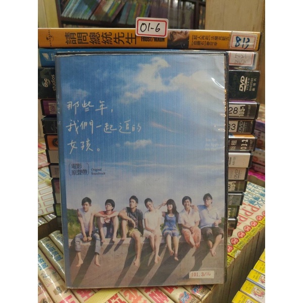 正版二手DVD-華語【那些年，我們一起追的女孩】-柯震東 陳妍希 超級賣二手片