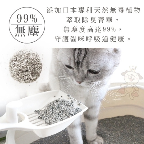 [單包]【健康無塵礦砂】你的貓YourCat 凝結式無塵活性碳貓砂６公斤