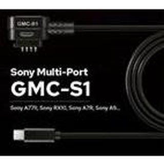 『視界』台灣出貨！公司貨！Sony Multi 接口！Godox GMC-S1 GM55監看螢幕適用 相機控制線