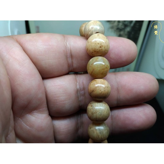 樹化玉手珠的價格推薦 21年8月 比價比個夠biggo