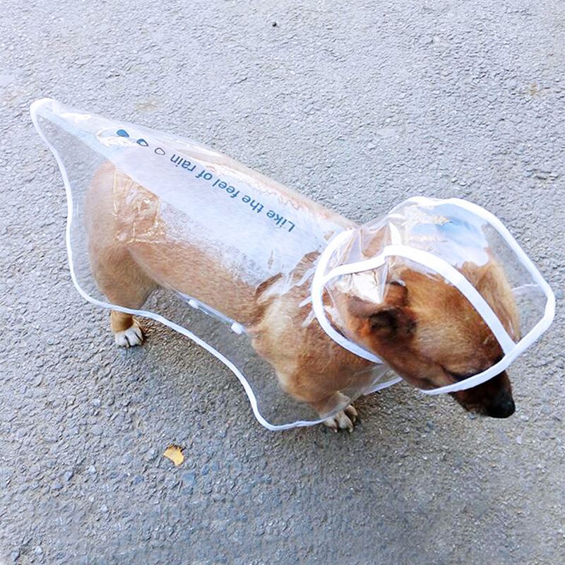 台灣現貨ღ狗狗雨衣泰迪柴犬小型犬中型犬雨披小狗全包柯基防水雨天寵物衣服 蝦皮購物