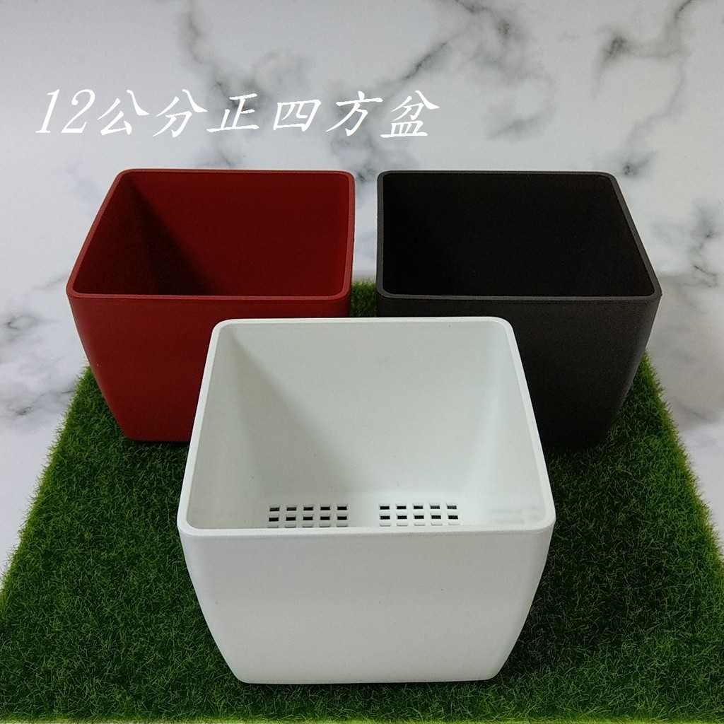 現貨12公分正四方盆方型盆多肉盆仙人掌小品植物苔癬盆花盆花器園藝資材台灣製造品質好 苔苔樂 蝦皮購物