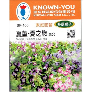 愛上種子 夏菫 夏之戀 混合色 (F1 品種) 粉衣種子 農友種苗 專業種子每包約50粒